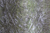 Fingringhoe fibreglass roof work